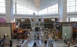 DFW Airport, Terminal D